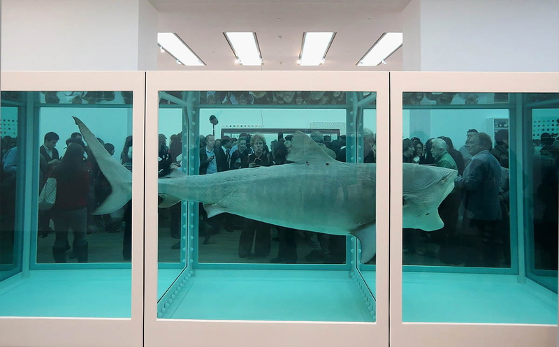 damien hirst shark impossibilities of death