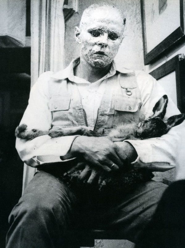 how to explain pictures to a dead hare beuys