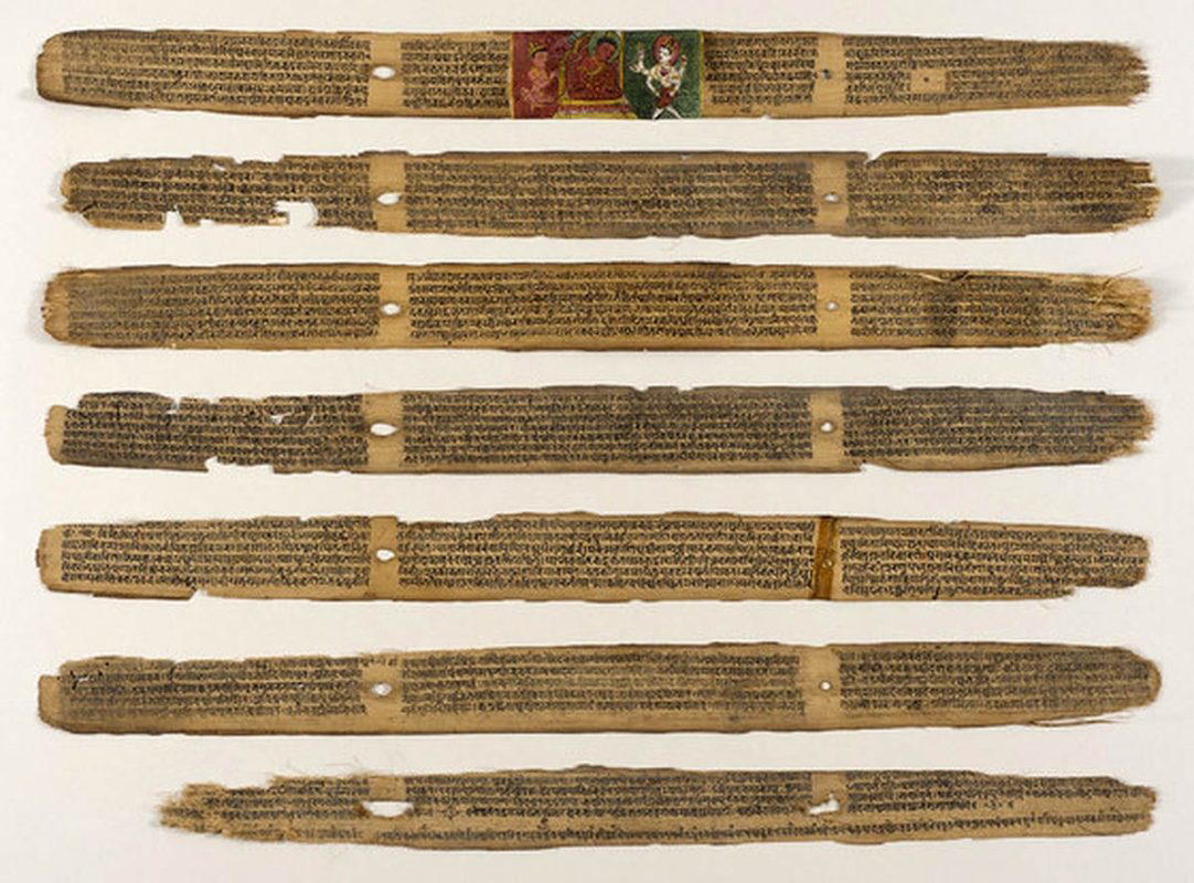 sushruta samhita palm leaf