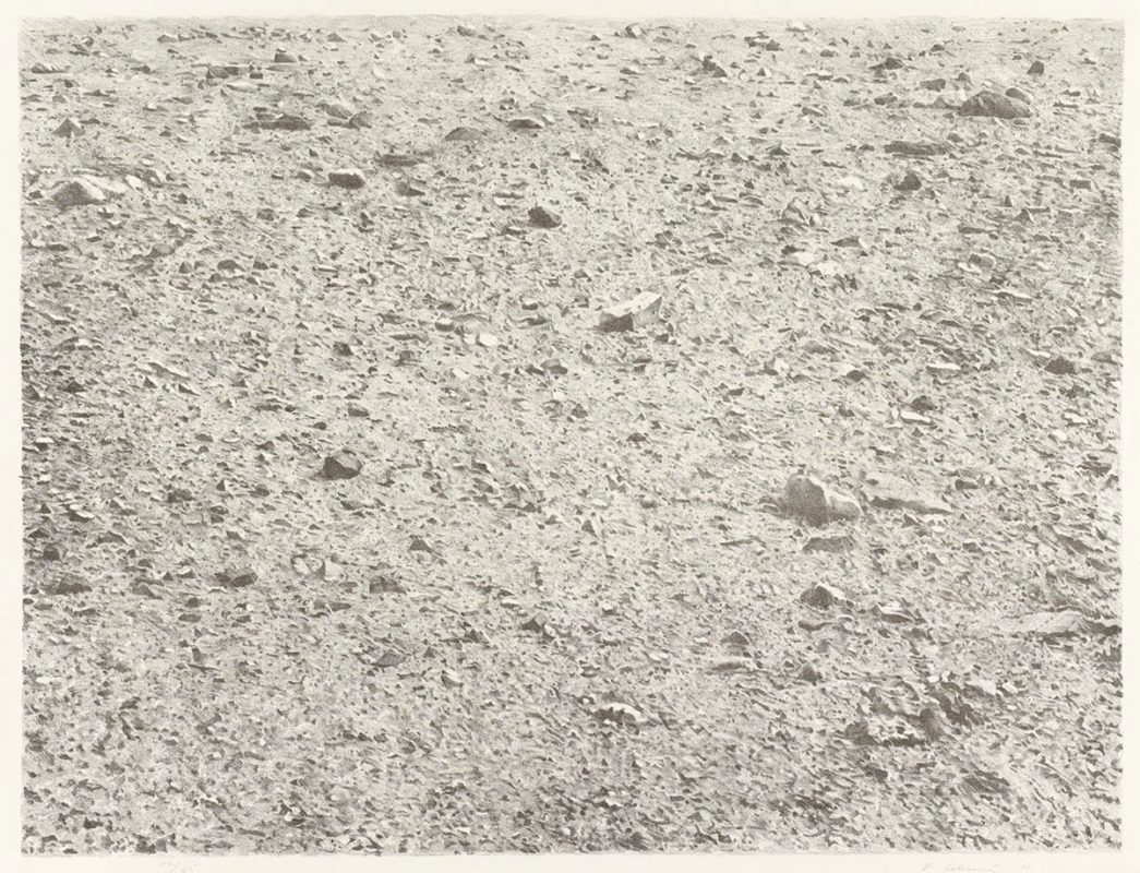 desert vija celmins moma