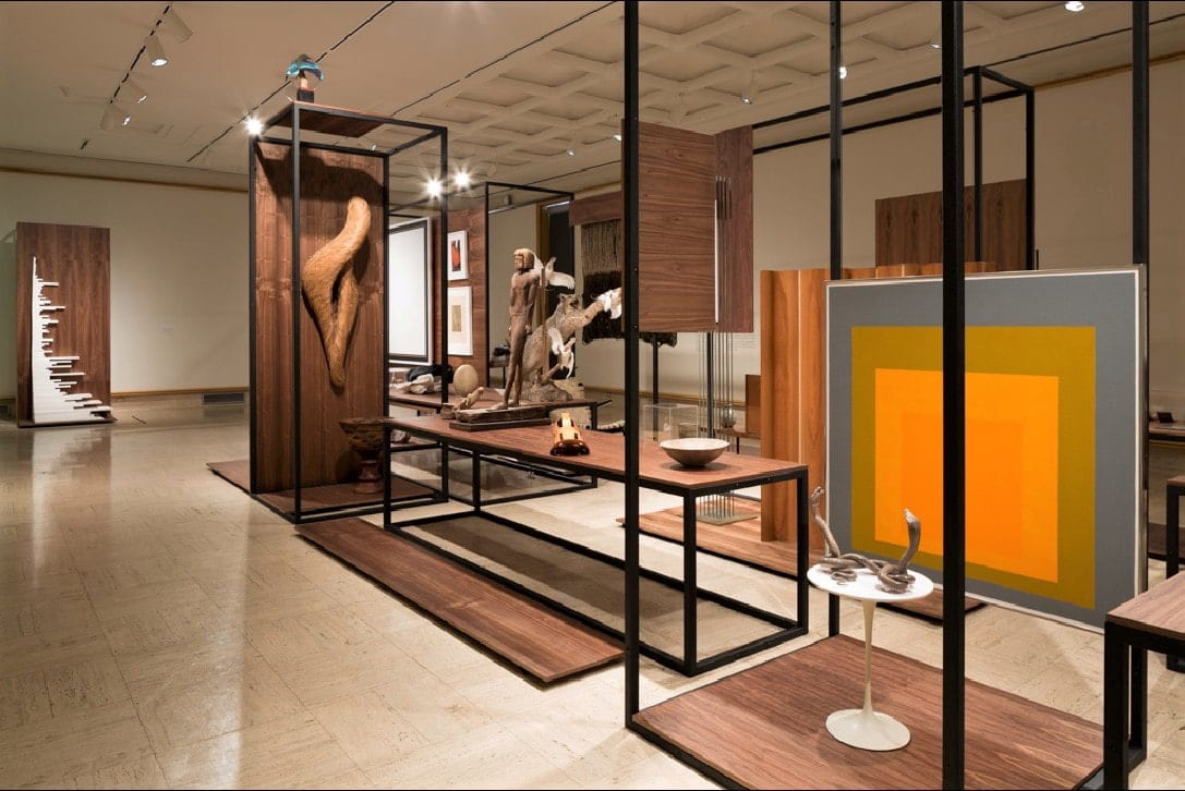 cranbrook-hall-wonders-modern-cabinet-curiosities