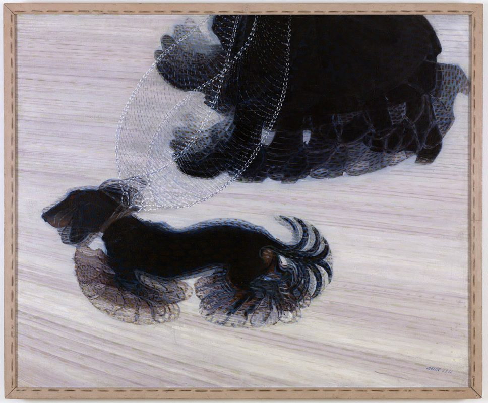 dynamism dog leash giacomo bella