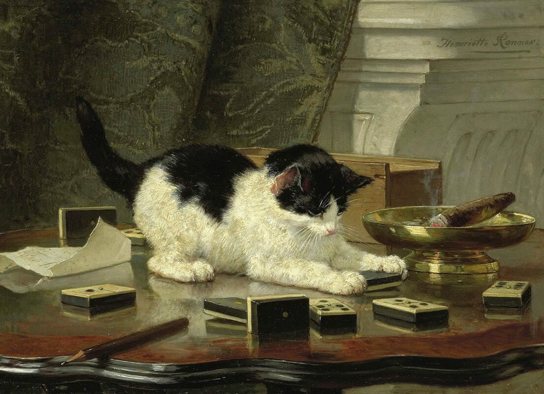henriette ronner kitten