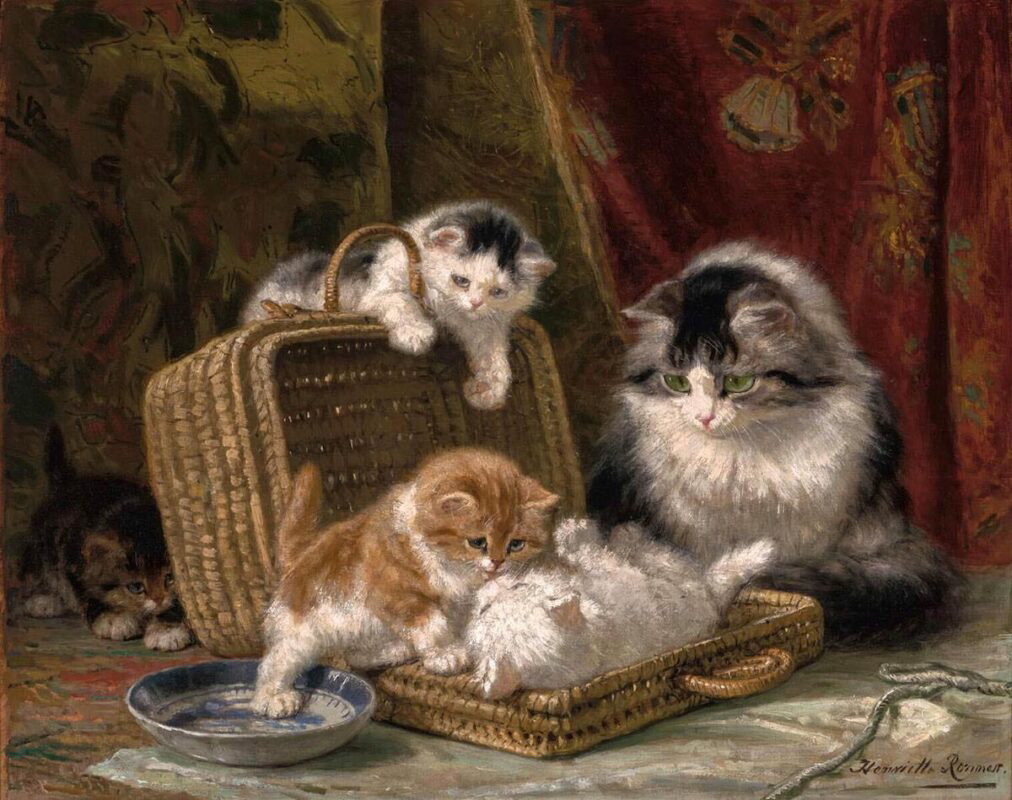 henriette ronner knip