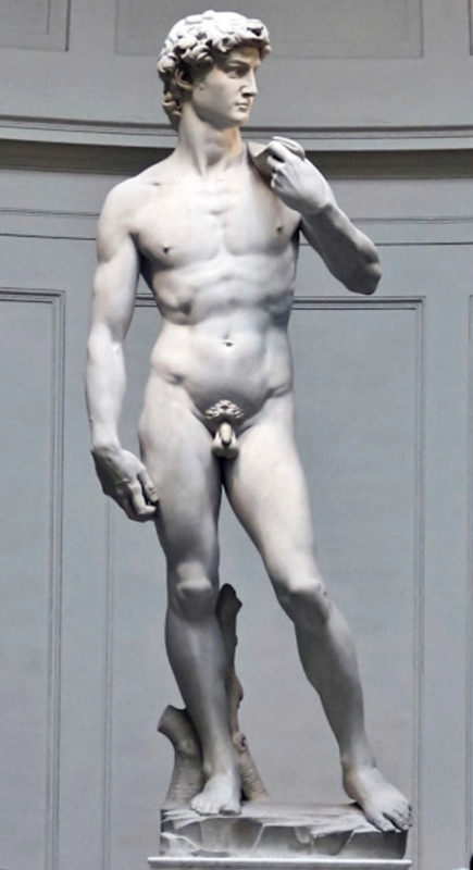 david michelangelo