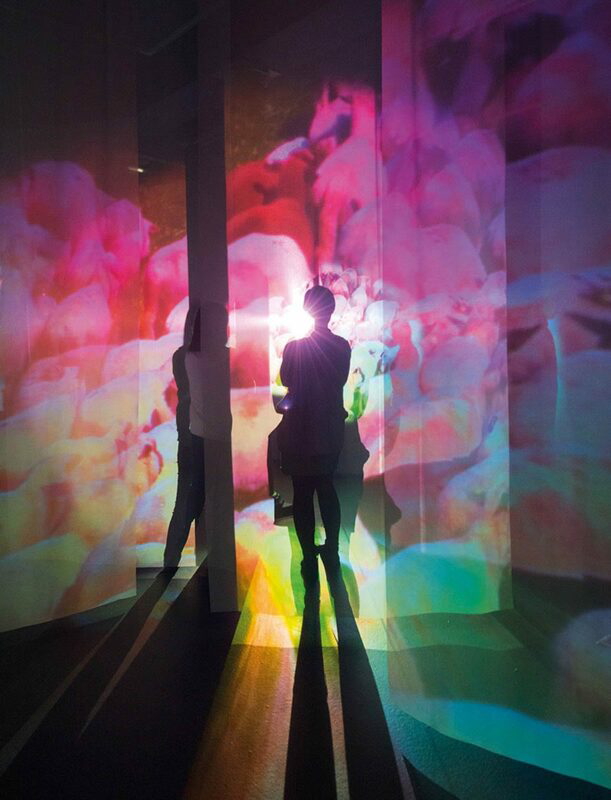 pipilotti rist administering eternity