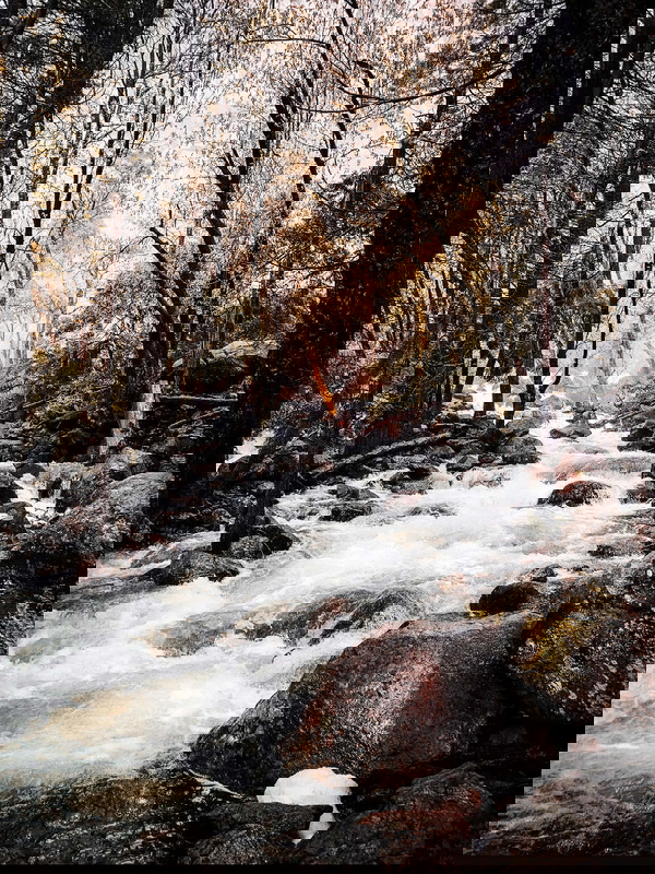stream-everything-flows-heraclitus-quotes