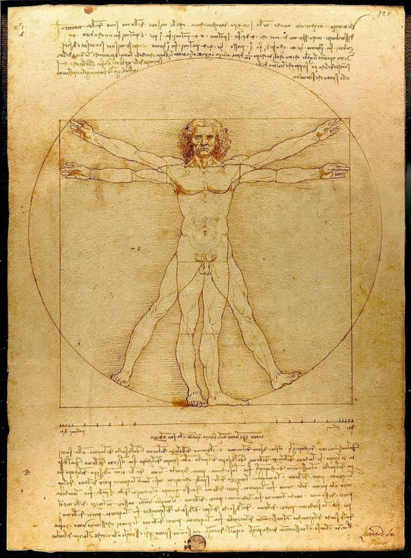 vetruvian man leonardo da vinci