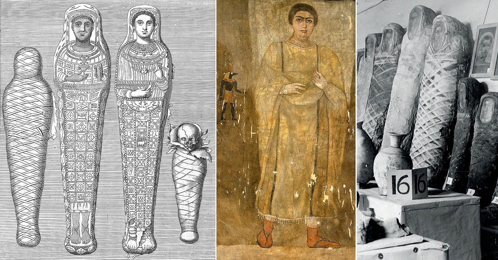 Discovery Fayum Mummies della Valle Petrie
