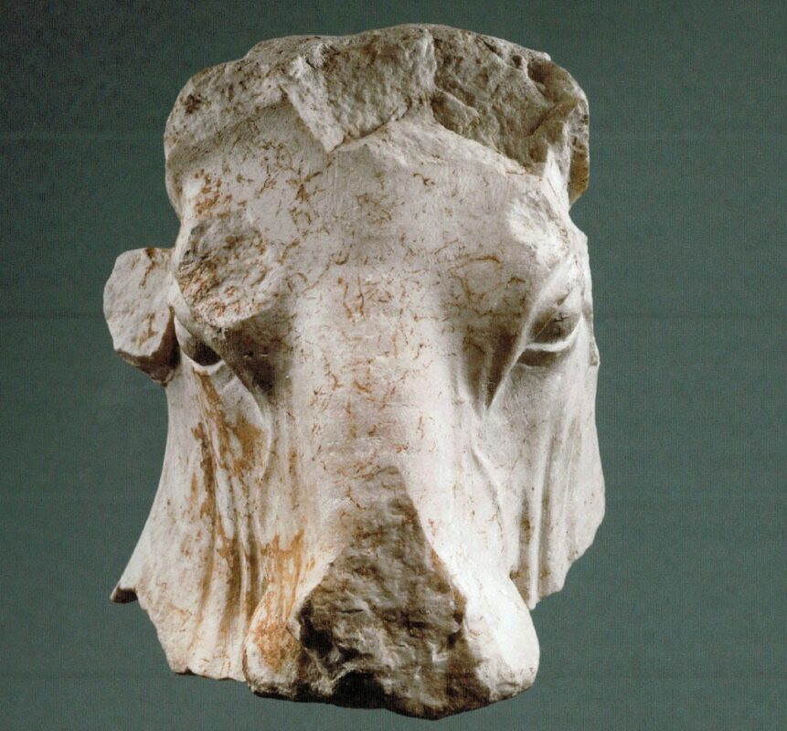 marble head of bull