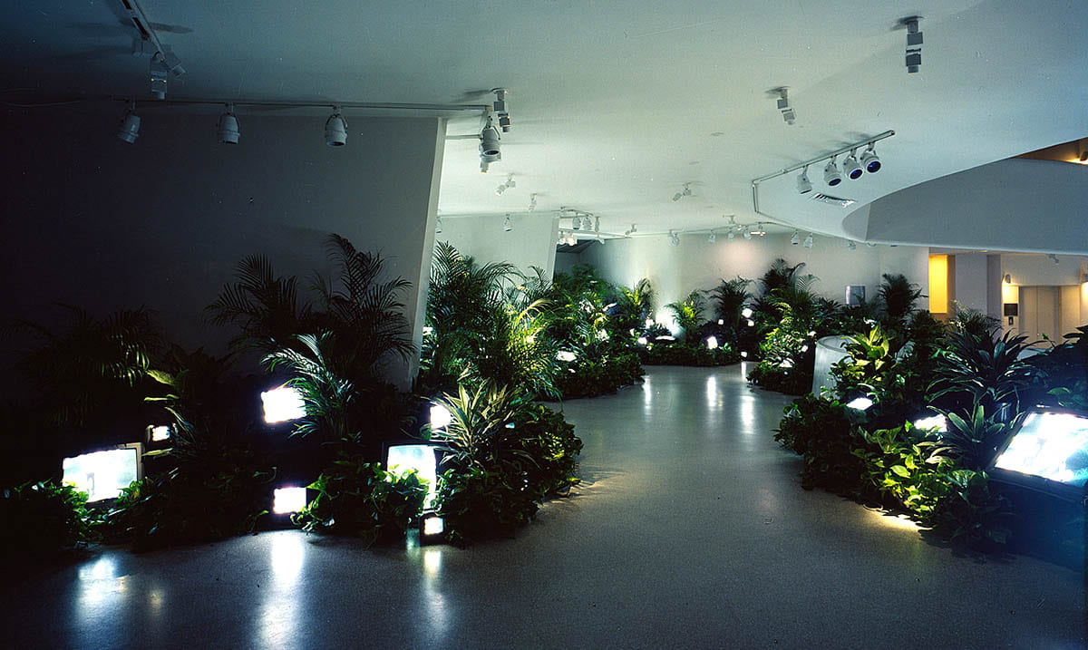 nam june paik tv garden