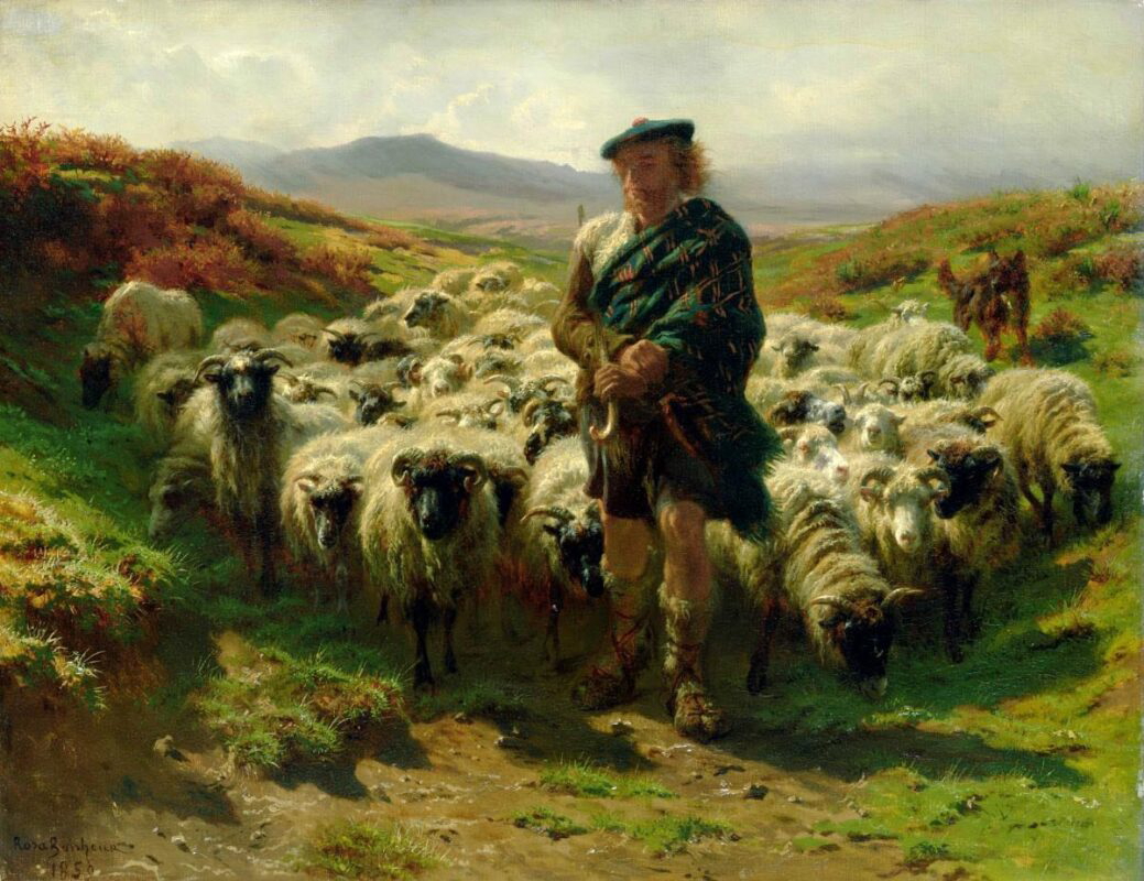 bonheur highland shepherd