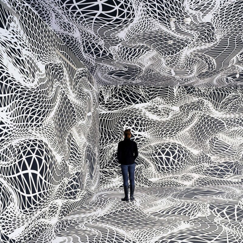peter kogler dimensions