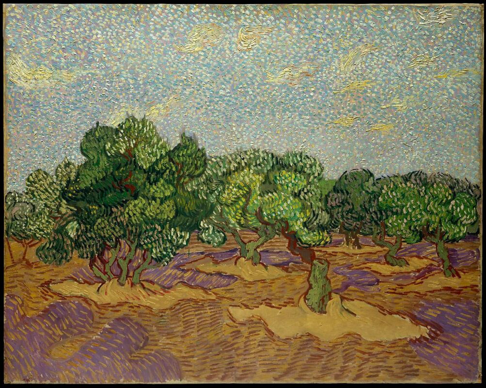 olive trees vincent van gogh
