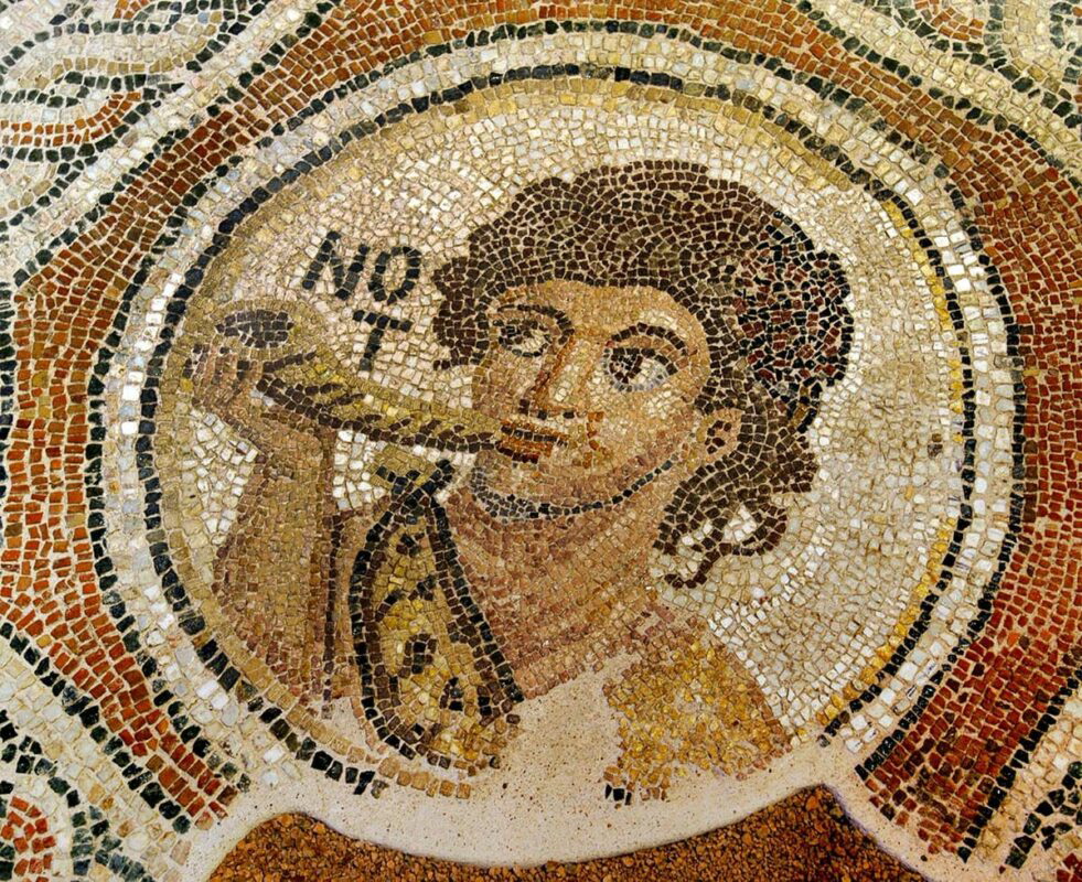 mosaic floor south wind shell