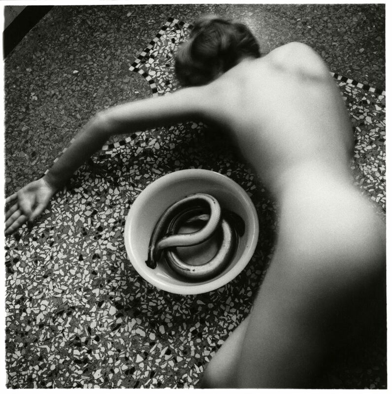 eel series francesca woodman