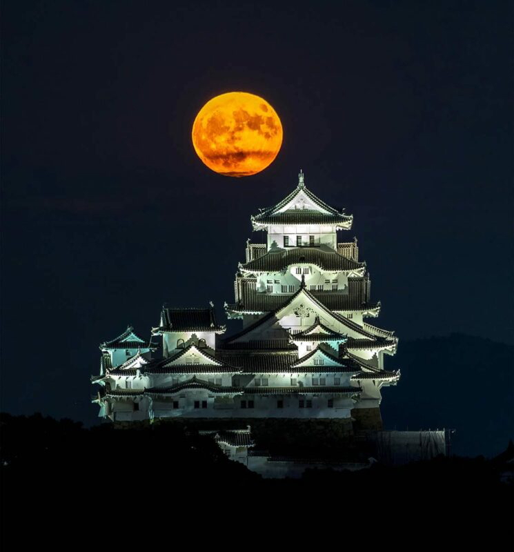 himeji castle exterior illustration