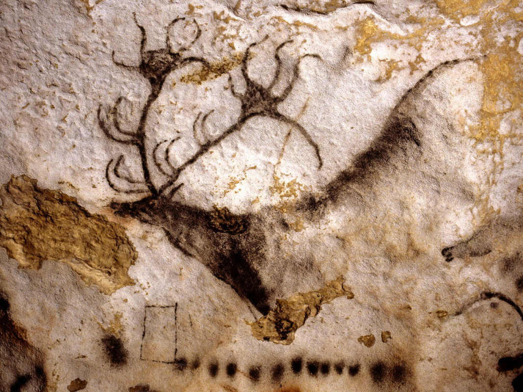 deer detail lascaux caves