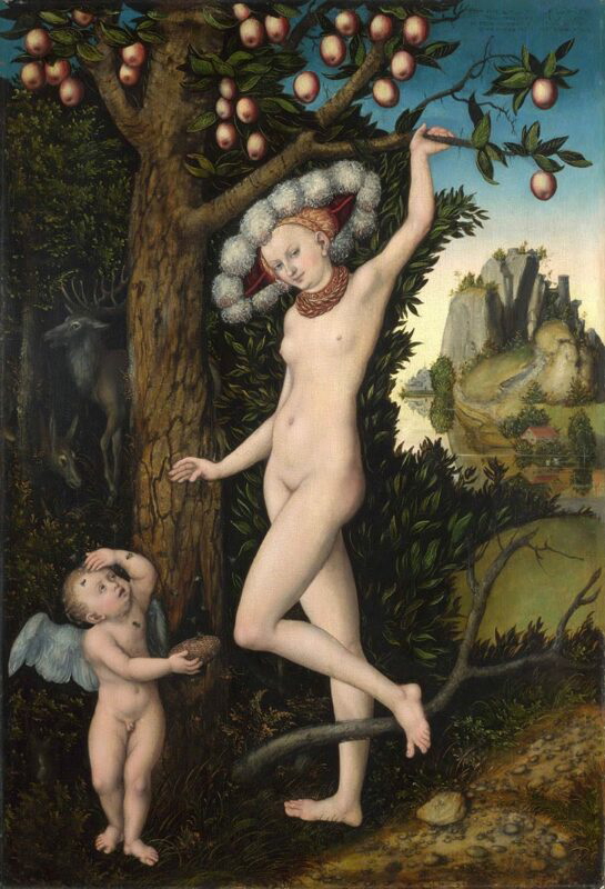 lucas cranach cupid complaining to venus