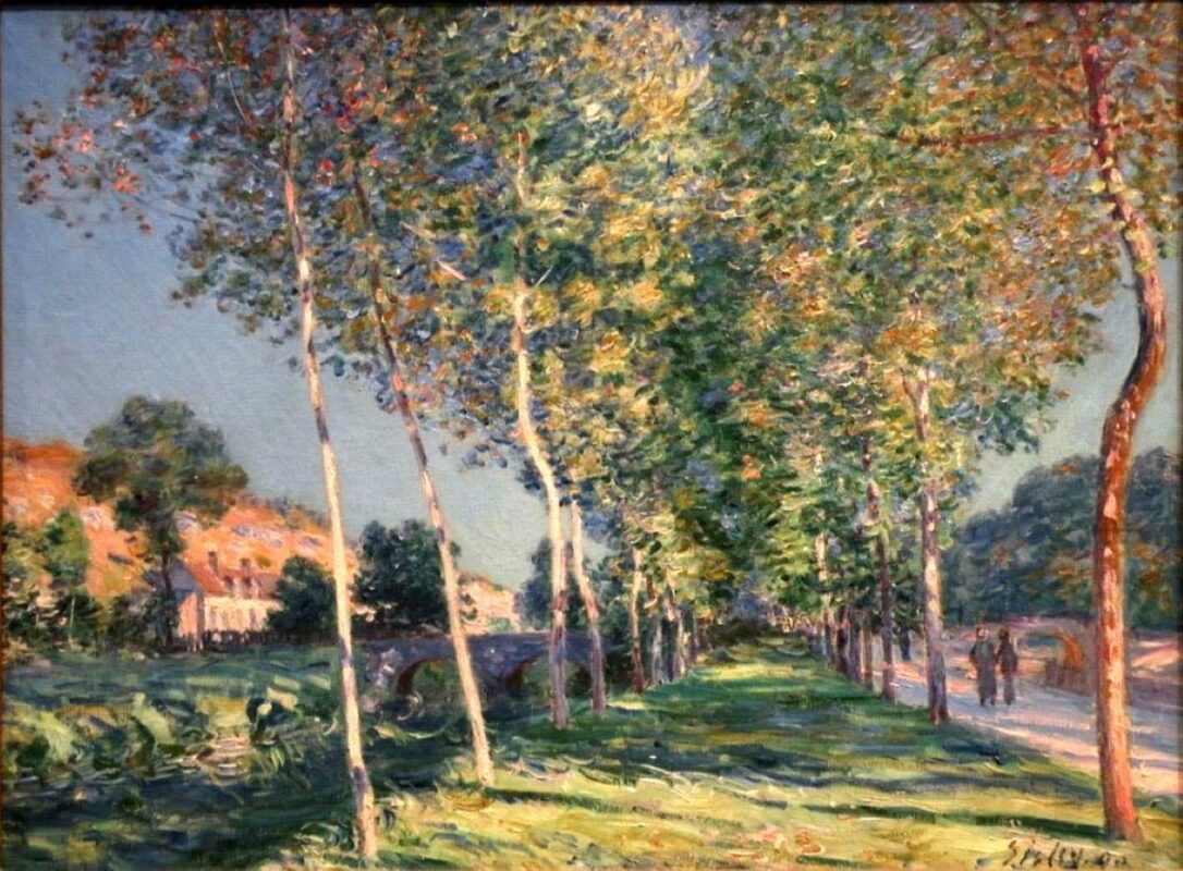 the lane of poplars alfred sisley