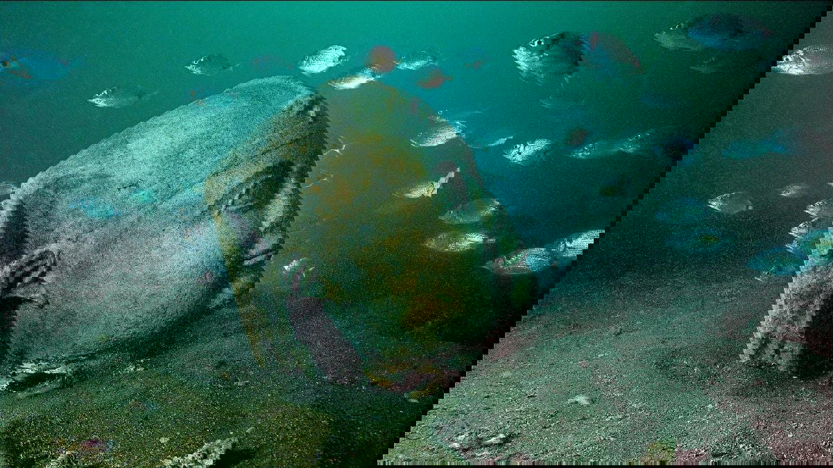 diving underwater ancient alexandria