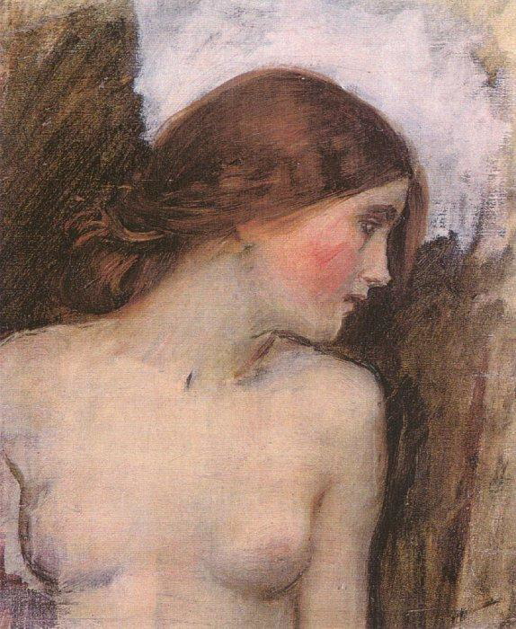 waterhouse-echo-study
