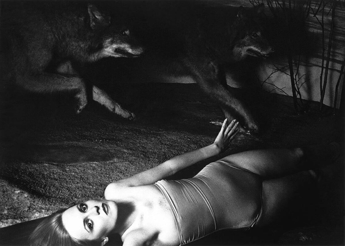 untitled francesca woodman