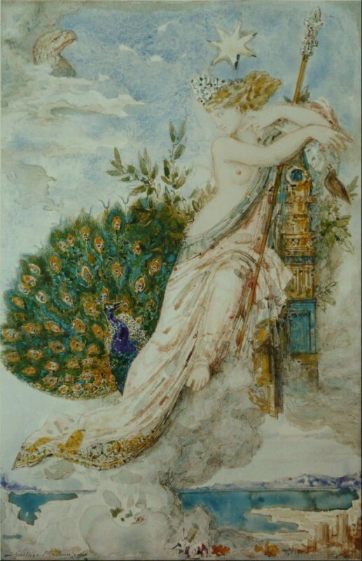 gustave peacock juno
