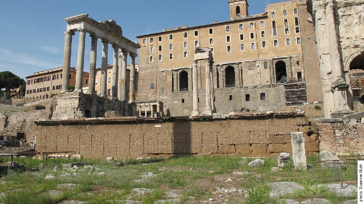 the rostra