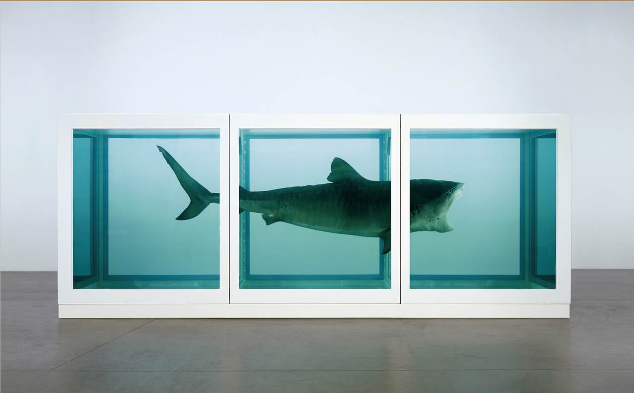 damien hirst shark