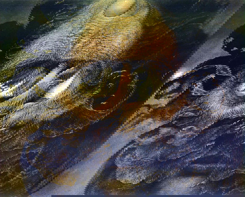 surrealist painter zdzislaw beksinski