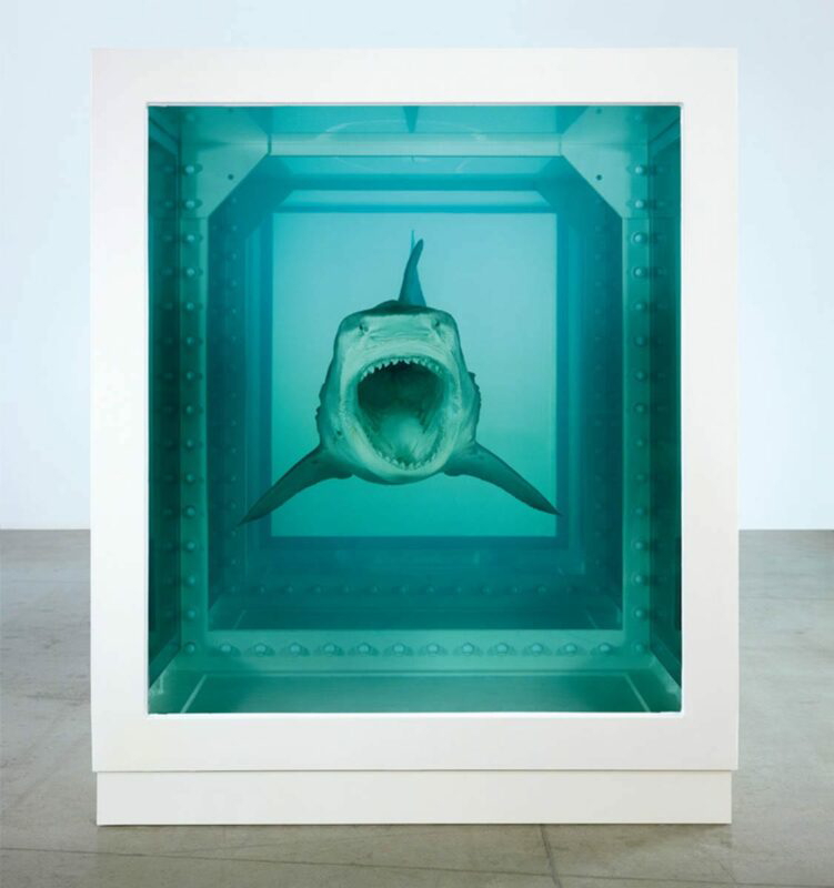 damien hirst shark