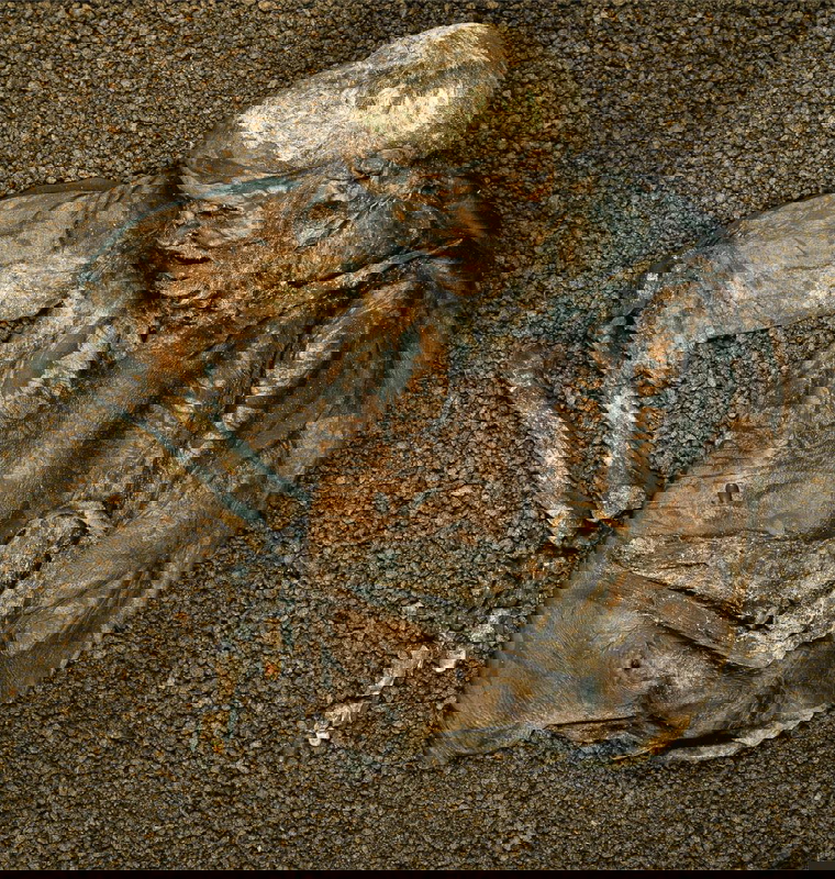 lindow man