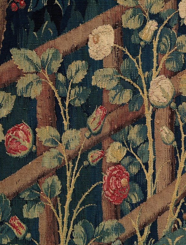 maiden rose detail