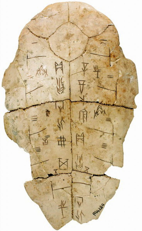 oracle bone turtle shell
