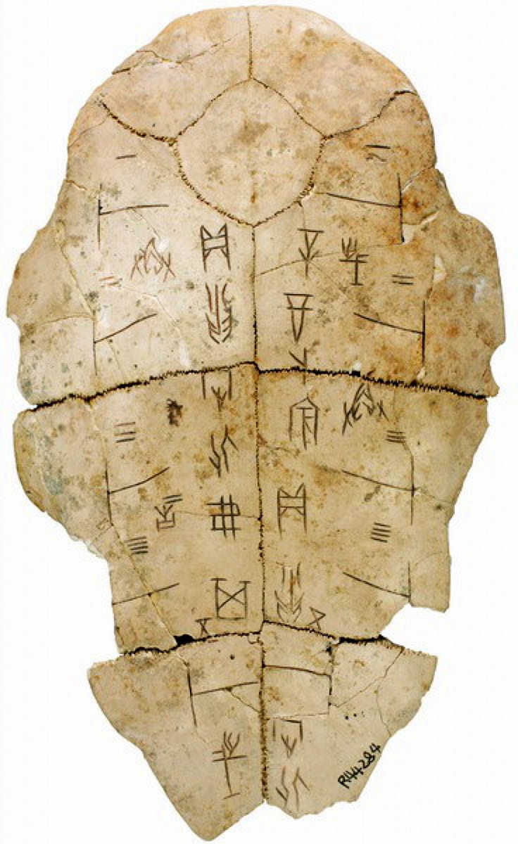 oracle bone turtle shell