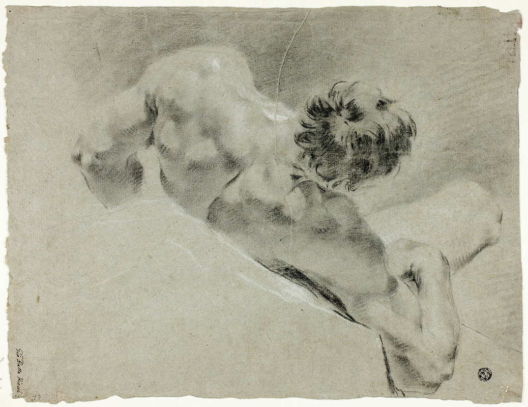 domenico maggiotto male nude back drawing