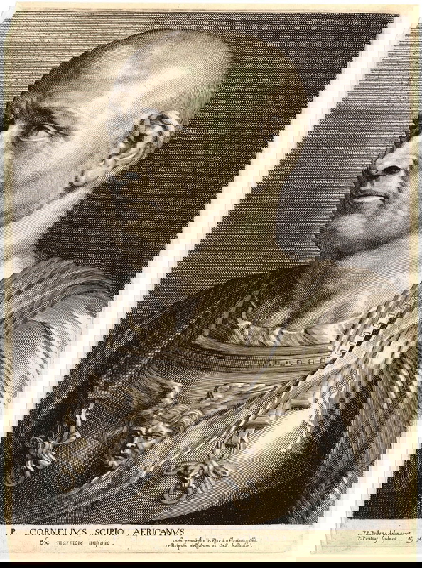 drawing scipio africanus rubens