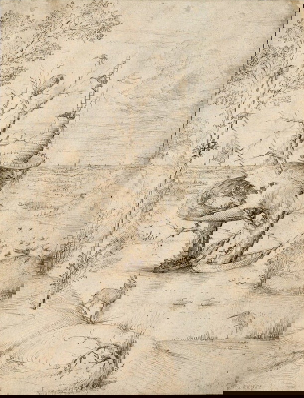 hieronymus bosch der baummensch drawing