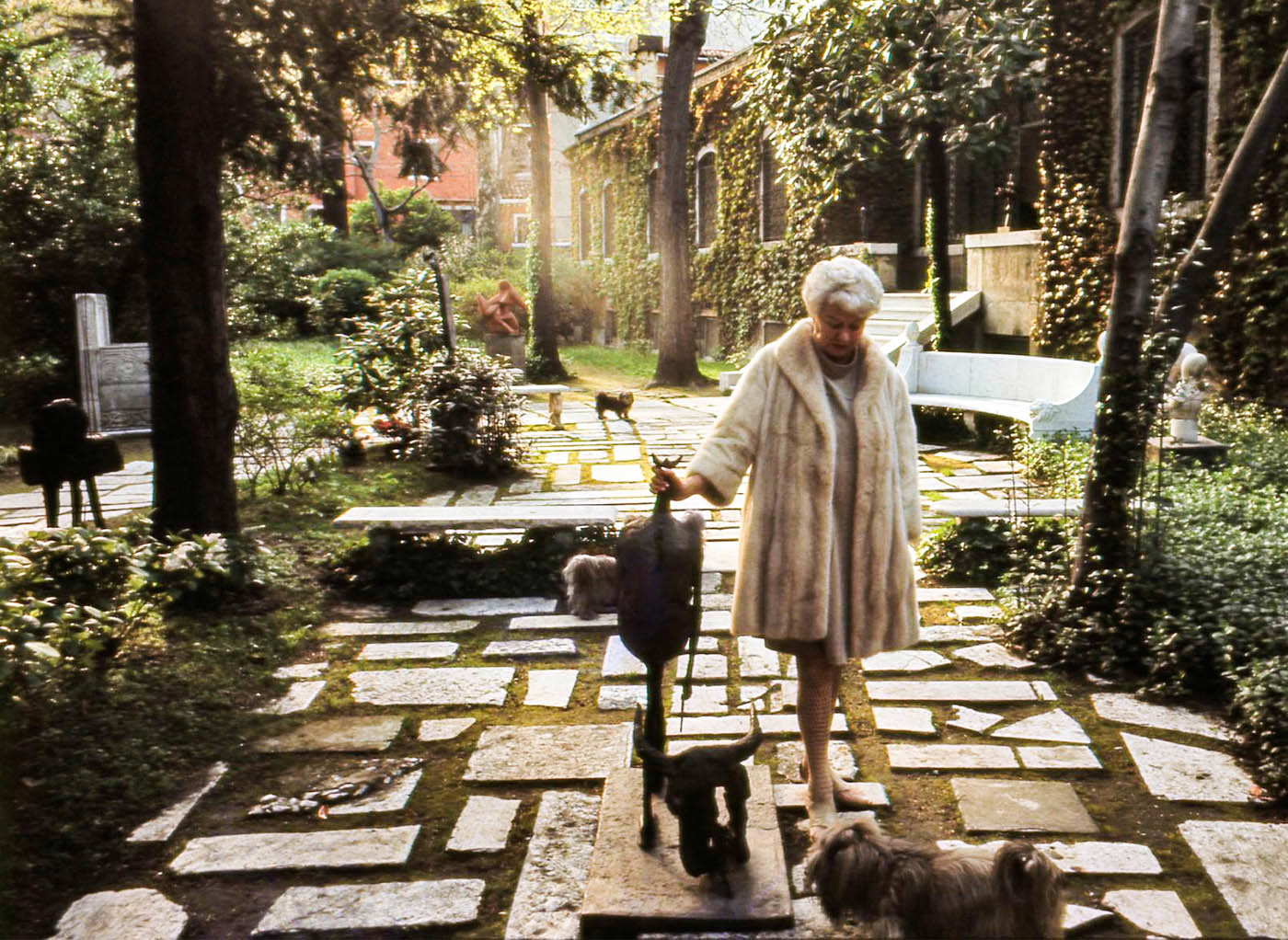 peggy guggenheim dogs palazzo garden venice 1953