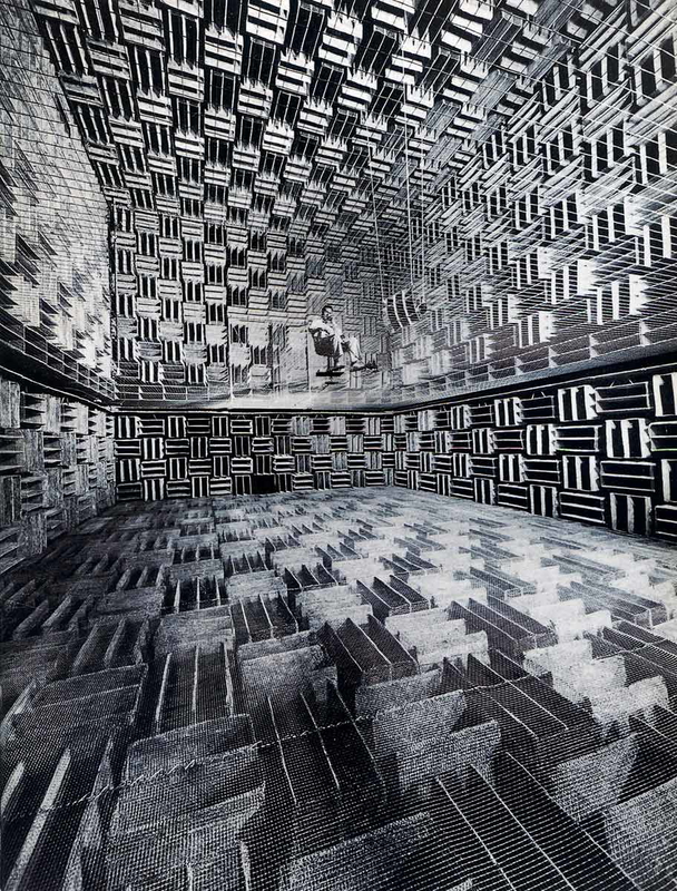 eric schaal anechoic chamber