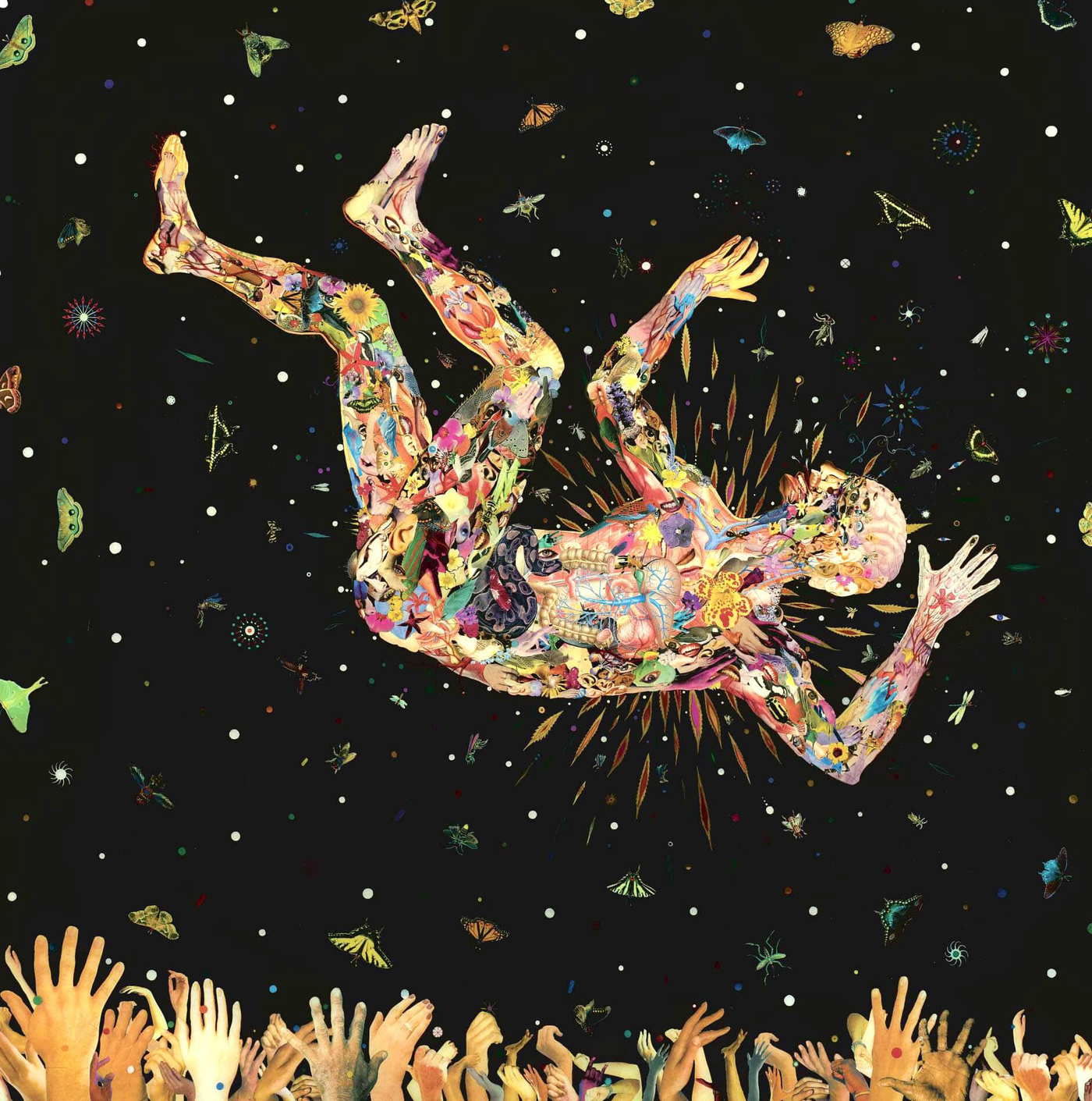 fred tomaselli expecting to fly