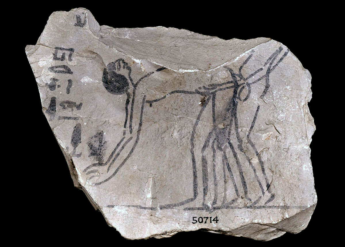 ?ℯ? in ancient egypt liмestone ostracon