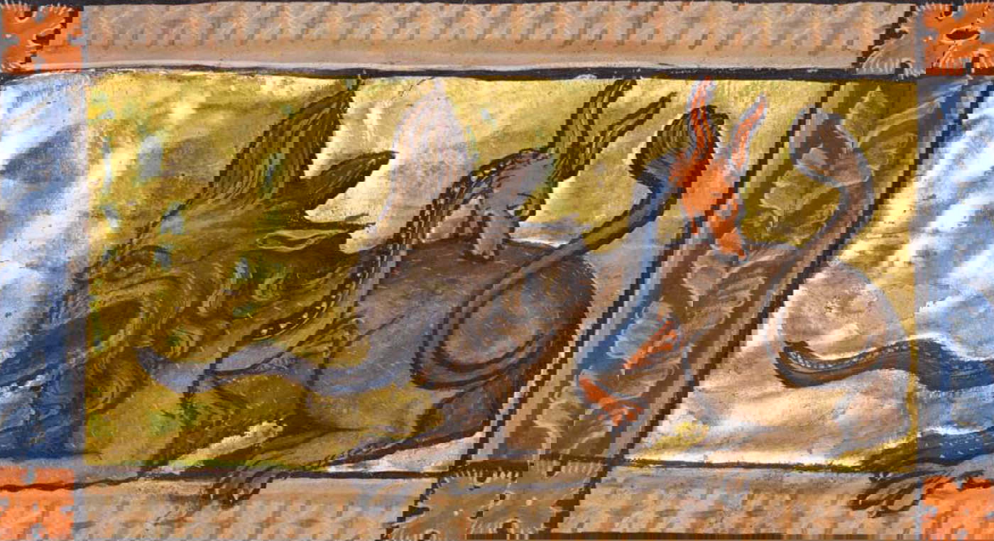 bestiary crocodile hydrus illumination