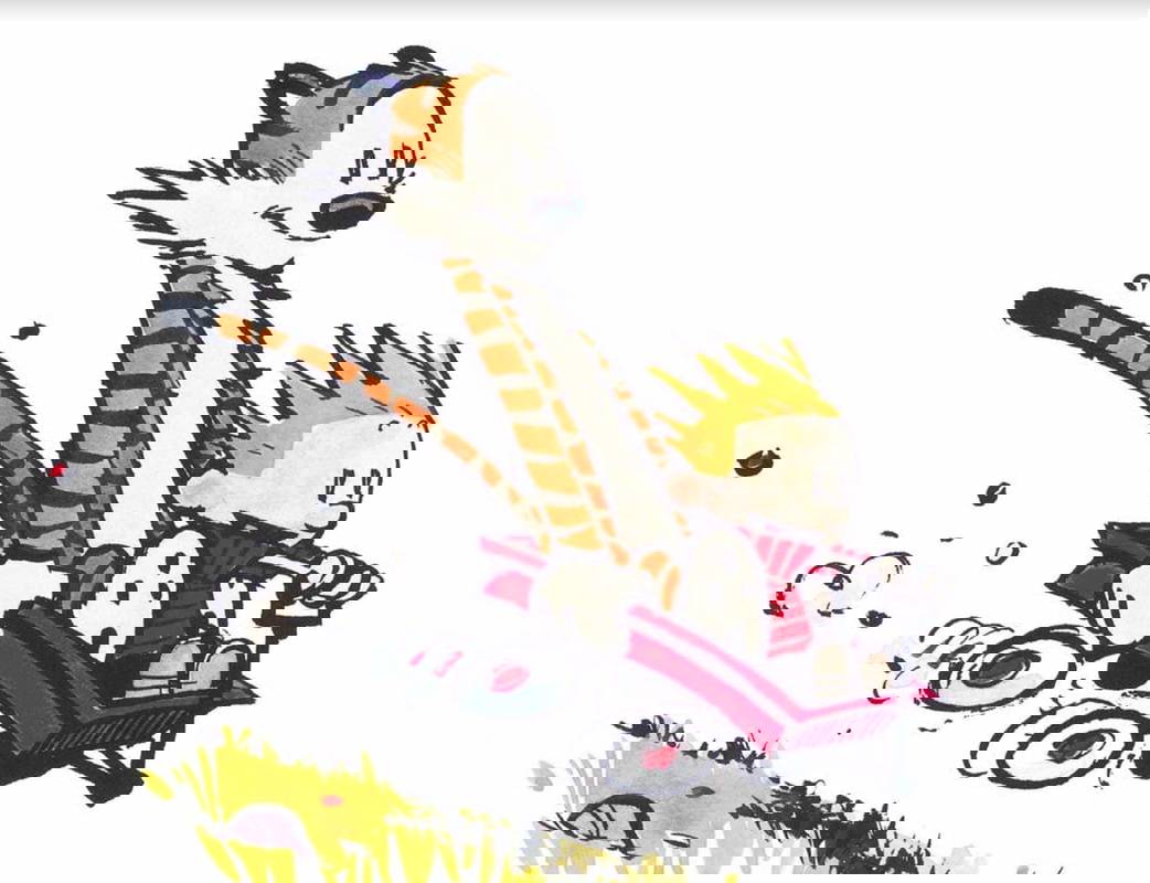 calvin and hobbes