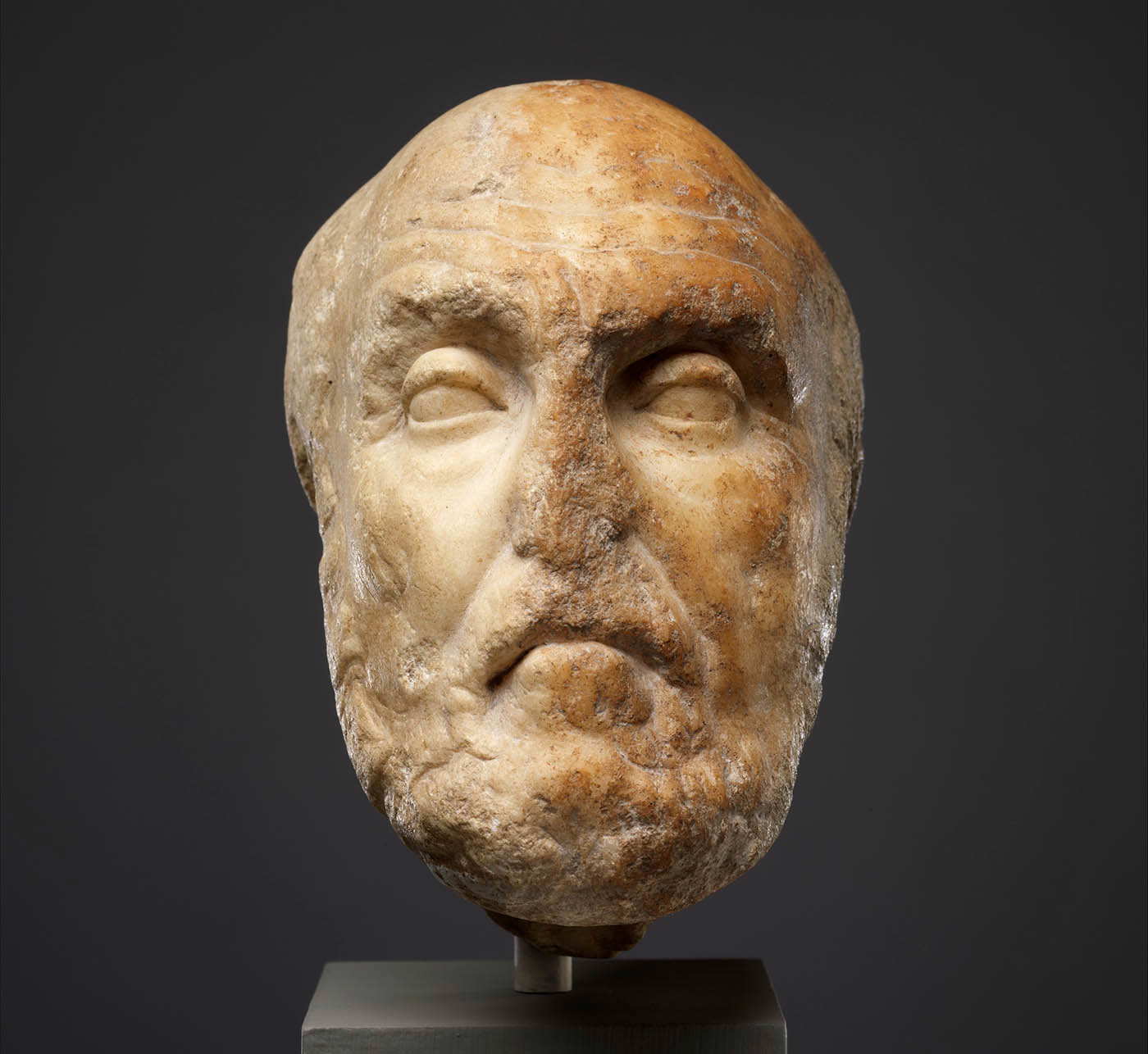 chrysippus bust 2