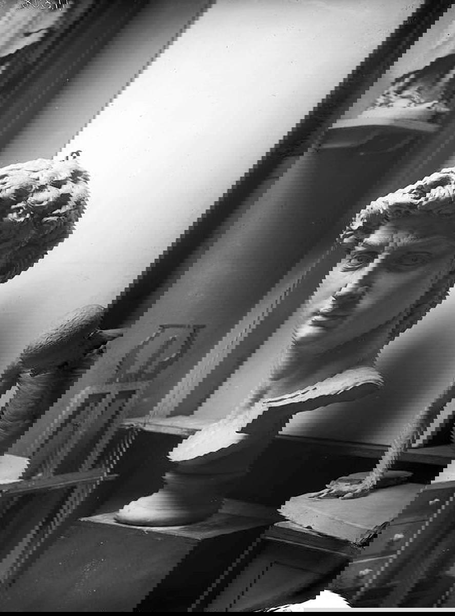 david head photograph