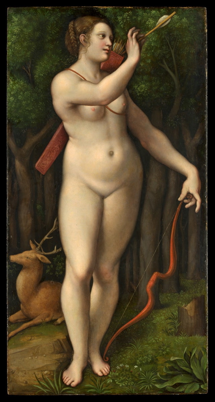 giampietrino diana painting