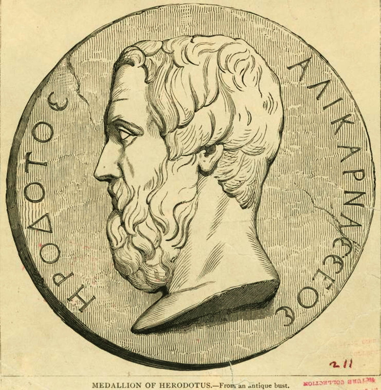 herodotus coin