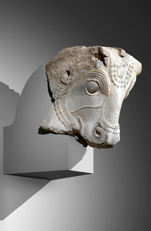 iran bull head capital